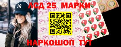 гашик Усть-Илимск