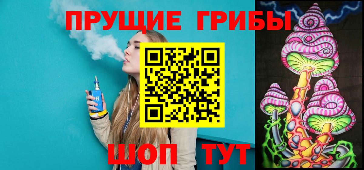 Галлюциногенные грибы Psilocybe  Вход с VPN  Назрань 